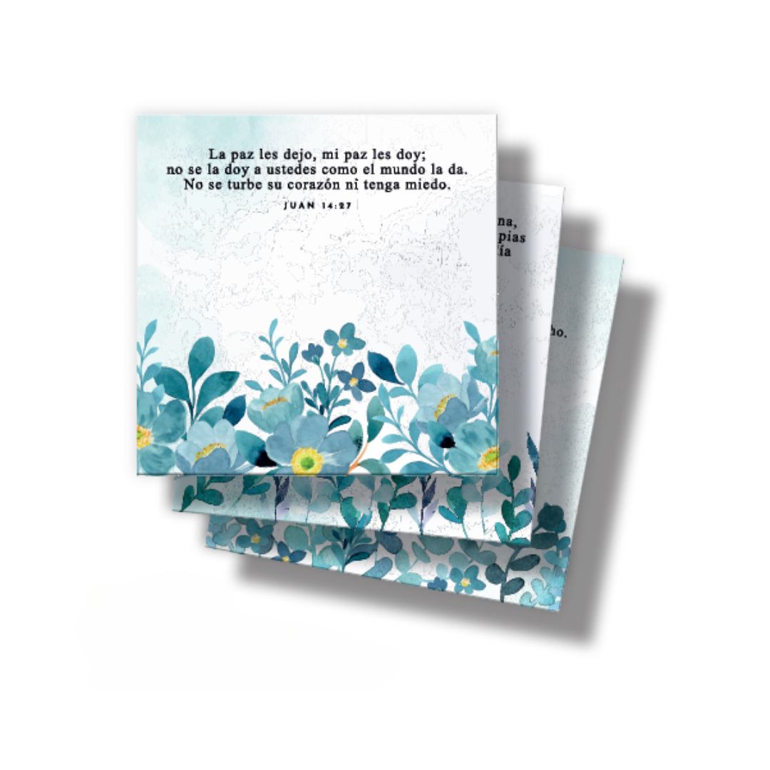 Sticky Notes | Paz Juan 14:27 - The Perfect Gift