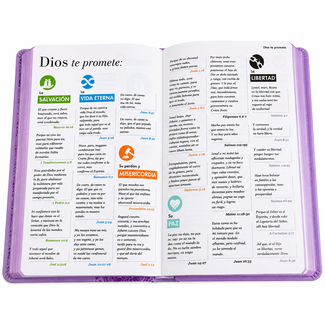 Biblia Obsequios y Premio Letra Grande Manual Lila Primor