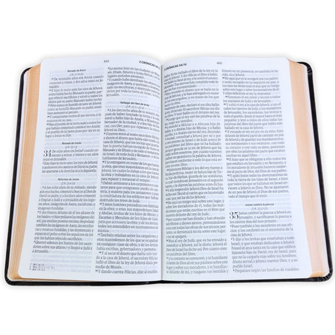 Biblia RVR60 Obsequios y Premios Cafe Refinado - The Perfect Gift