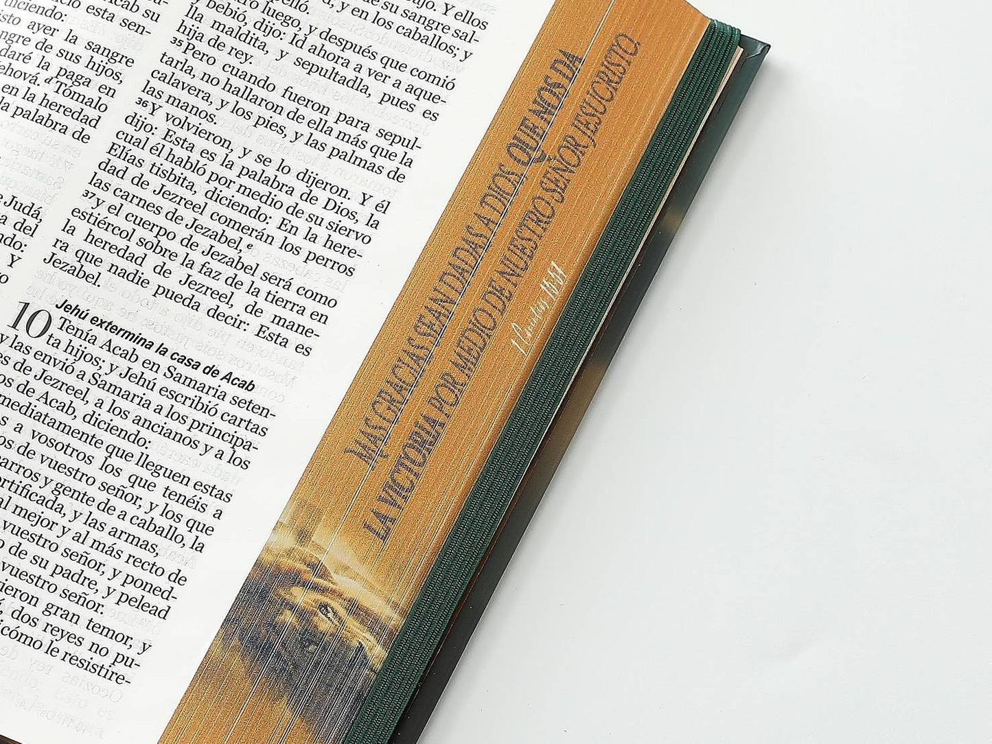 Biblia RVR60 Tamaño manual Letra Grande Tapa dura con elástico: León y cruz - The Perfect Gift