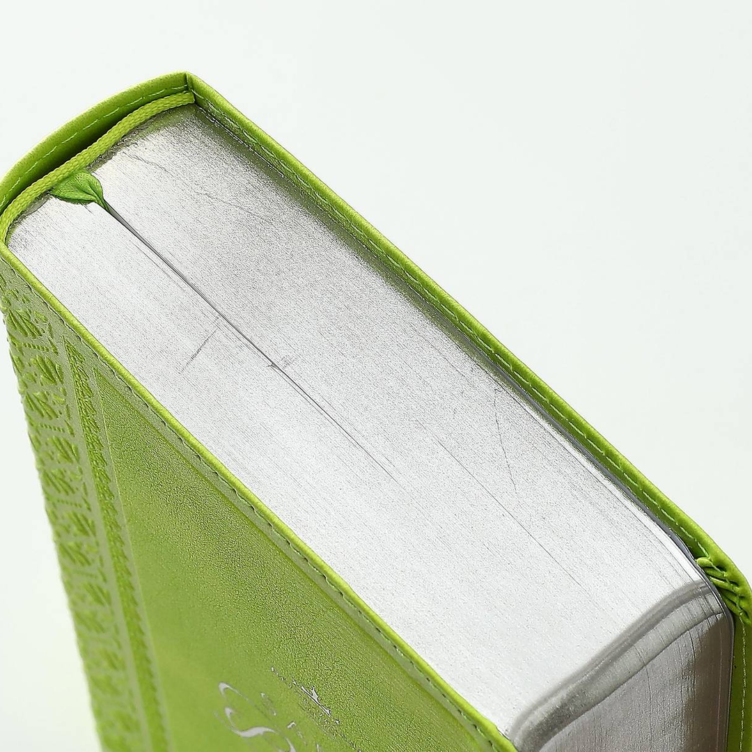 Biblia RVR60 Tamaño Compacto Letra Grande Neoclassic / Verde Lima