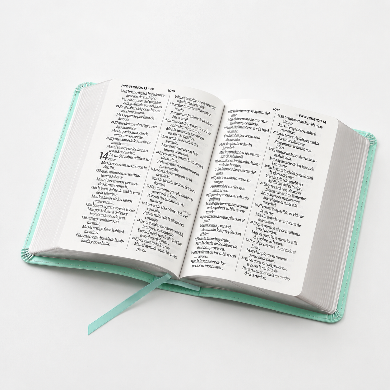 Biblia RVR60 Tamaño Compacto Letra Grande Neoclassic / Turquesa