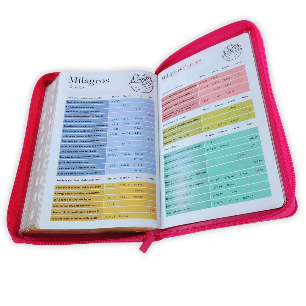 Biblia RVR 1960 Letra Grande Tamaño Manual Semi Piel Fucsia con Cierre/ Indice - The Perfect Gift