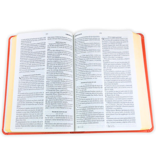 Biblia Obsequios y Premio Letra Grande Manual Coral Delicado