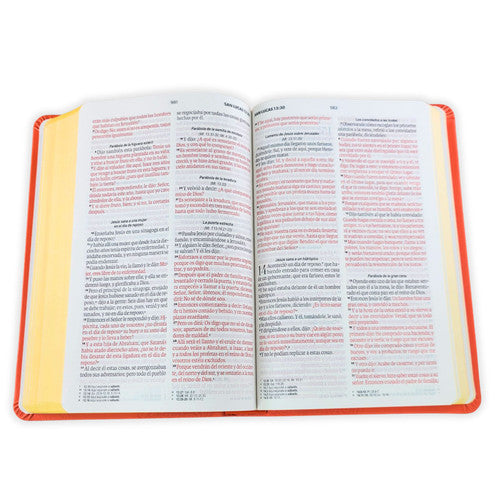 Biblia Obsequios y Premio Letra Grande Manual Coral Delicado