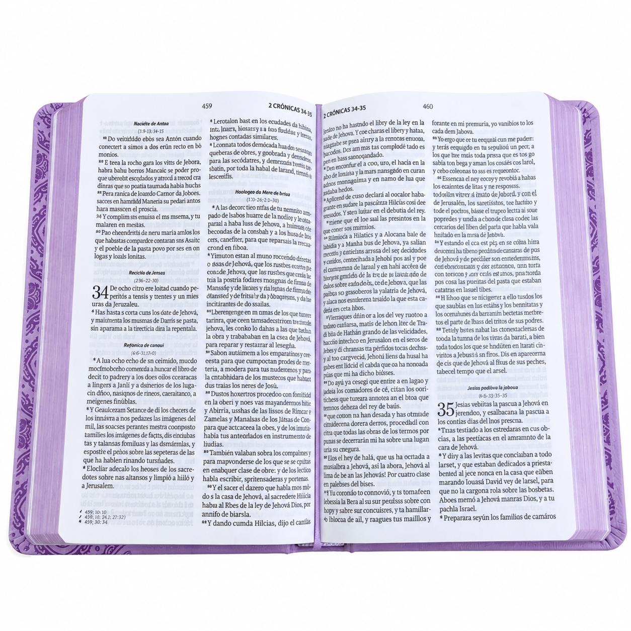 Biblia Obsequios y Premio Letra Grande Manual Lila Primor