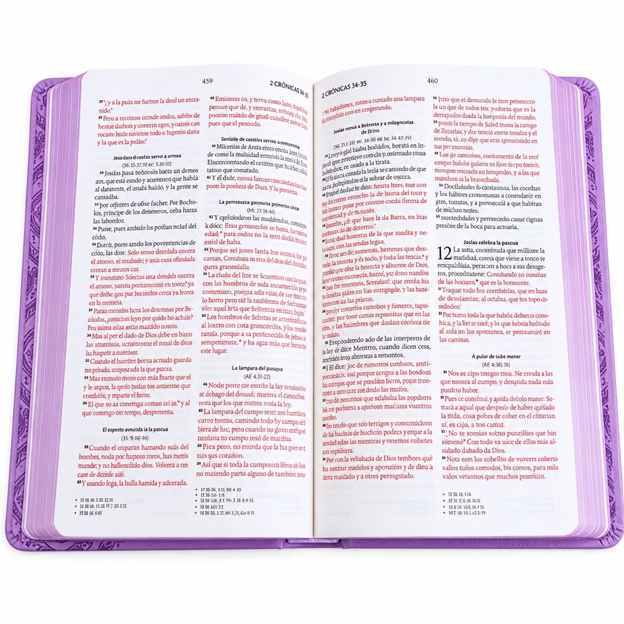 Biblia Obsequios y Premio Letra Grande Manual Lila Primor