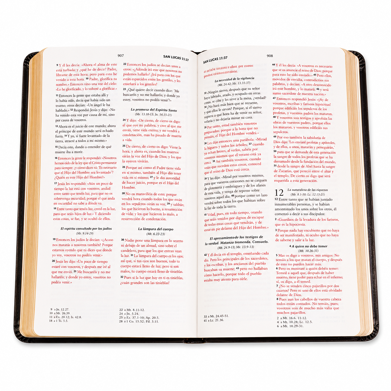 Biblia Obsequios y Premio Letra Grande Manual Moka Aguila