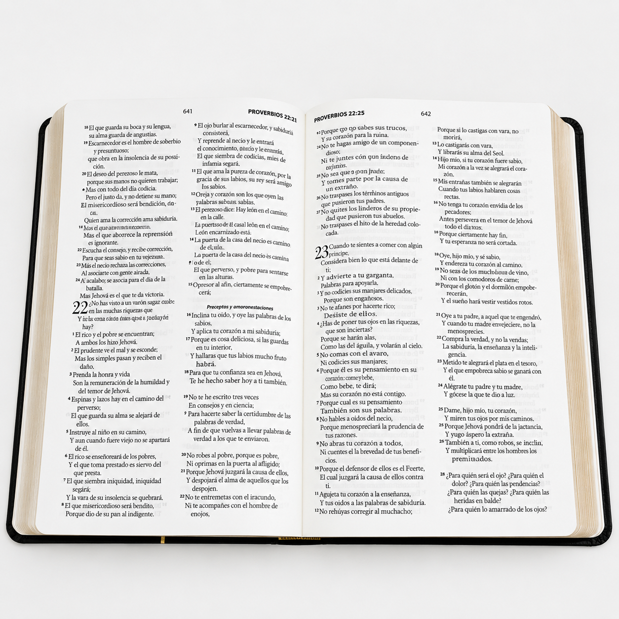 Biblia RVR60 Obsequios y premios Negro Geometrico