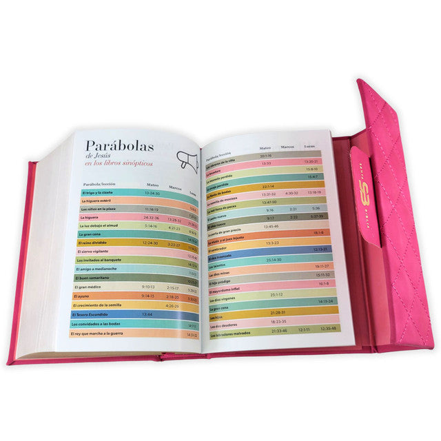 Biblia Cartera con Broche Magnético Compacta RV1960, imit piel Fúcsia con asa de mano - The Perfect Gift