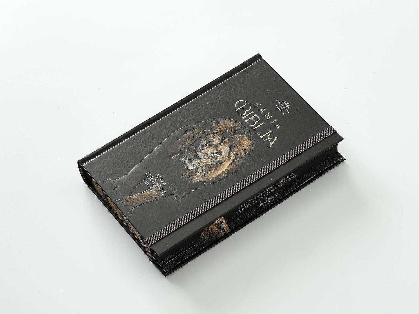 Biblia RVR60 Tamaño manual Letra Grande Tapa dura con elástico: León de Judá - The Perfect Gift