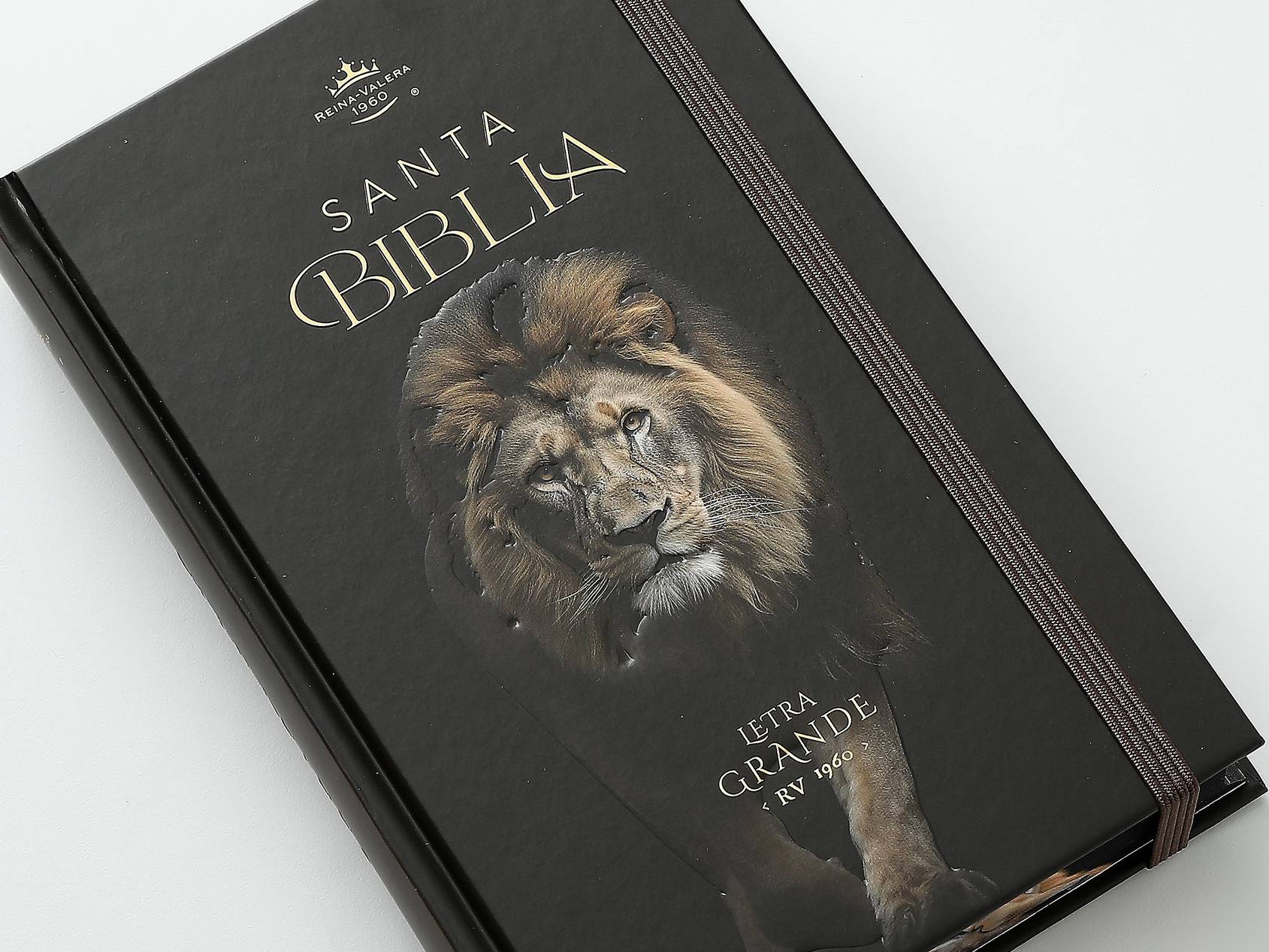 Biblia RVR60 Tamaño manual Letra Grande Tapa dura con elástico: León de Judá - The Perfect Gift