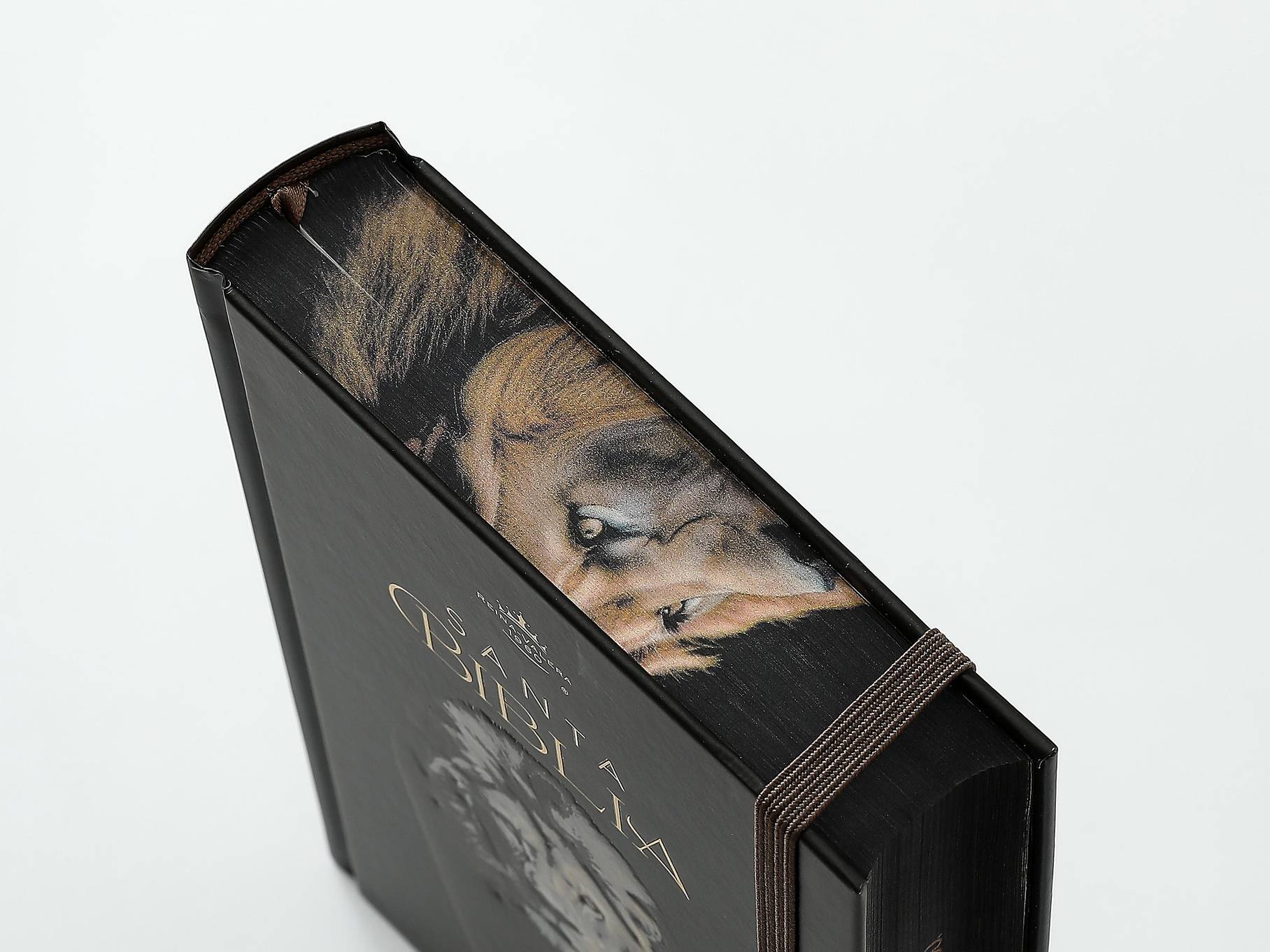 Biblia RVR60 Tamaño manual Letra Grande Tapa dura con elástico: León de Judá - The Perfect Gift