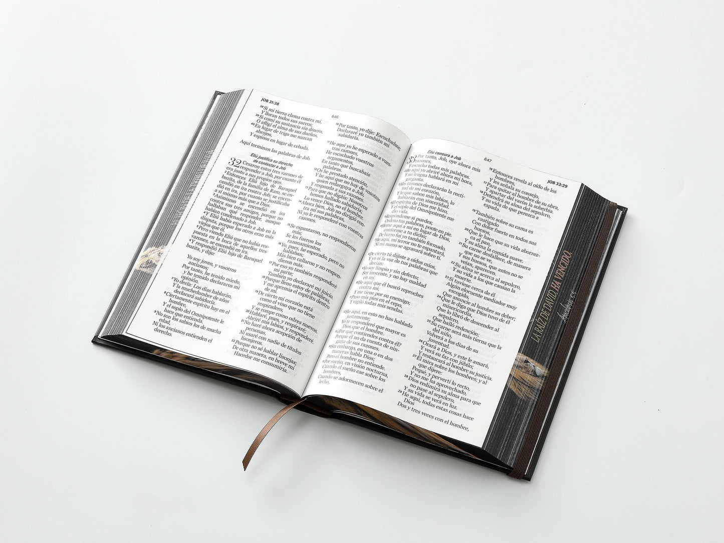 Biblia RVR60 Tamaño manual Letra Grande Tapa dura con elástico: León de Judá - The Perfect Gift