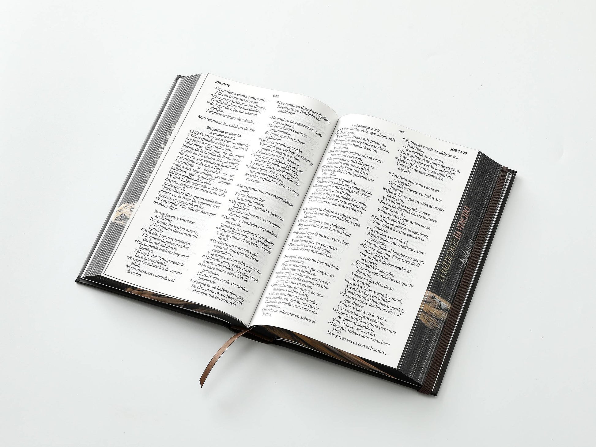 Biblia RVR60 Tamaño manual Letra Grande Tapa dura con elástico: León de Judá - The Perfect Gift