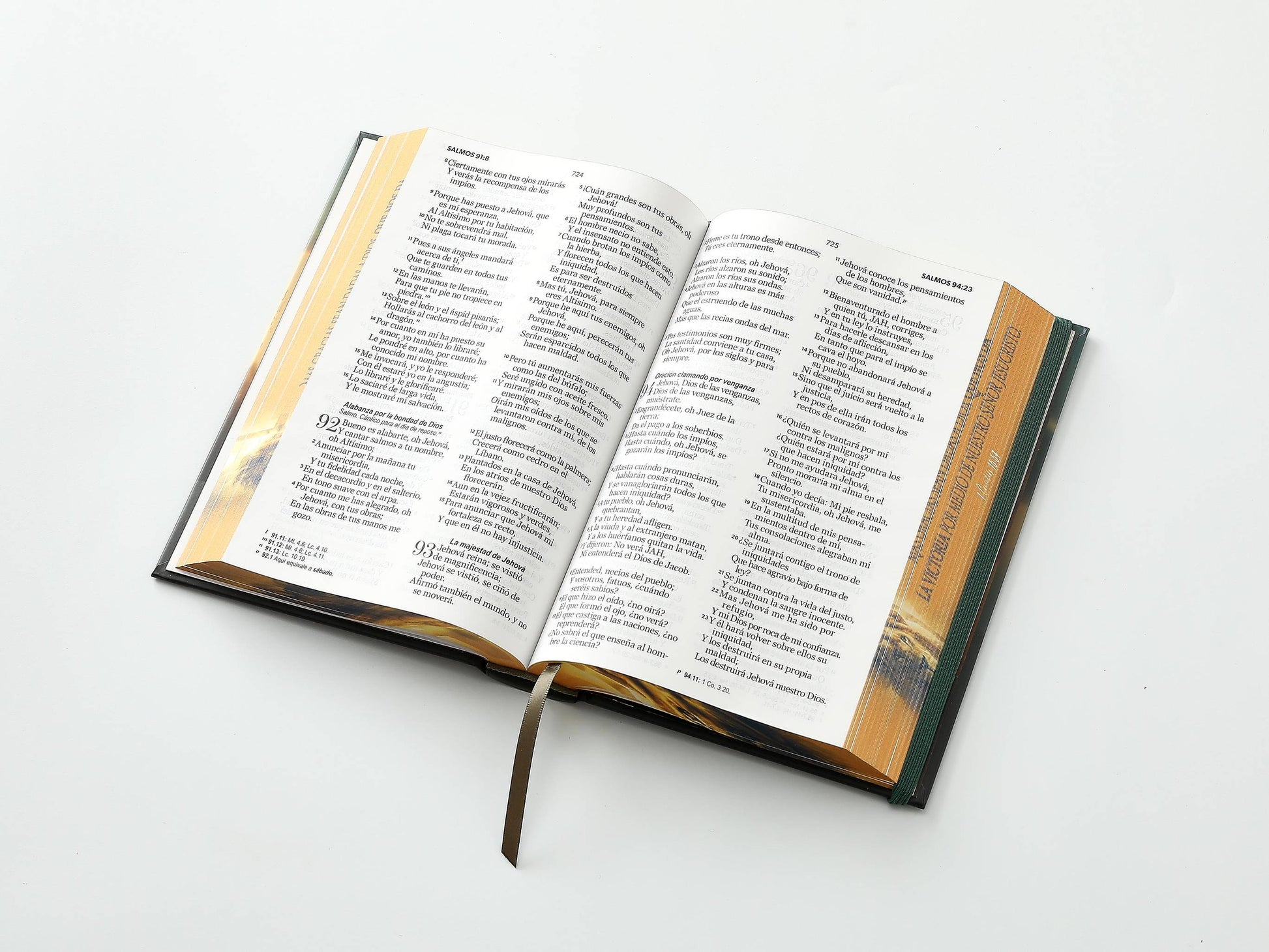 Biblia RVR60 Tamaño manual Letra Grande Tapa dura con elástico: León y cruz - The Perfect Gift