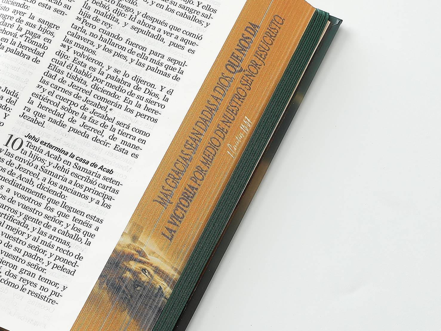 Biblia RVR60 Tamaño manual Letra Grande Tapa dura con elástico: León y cruz - The Perfect Gift