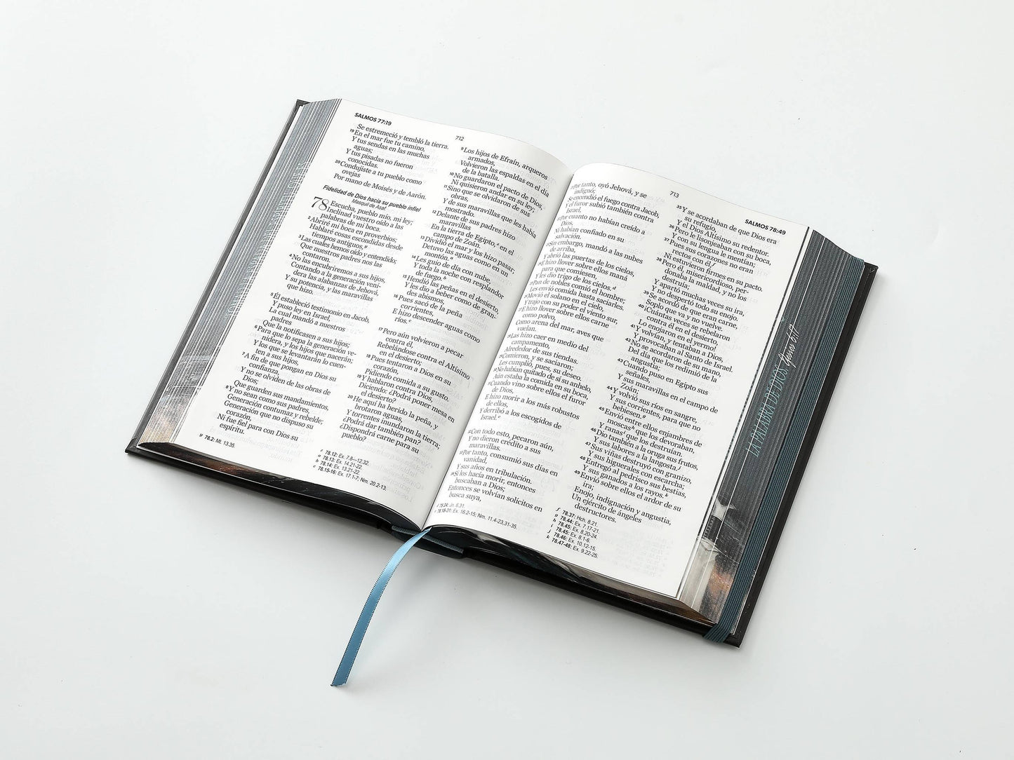 Biblia RVR60 Tamaño Manual Letra Grande Tapa dura con elástico: Espada - The Perfect Gift