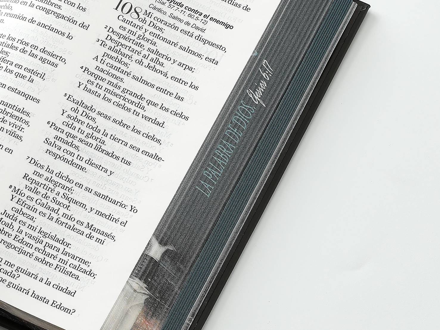 Biblia RVR60 Tamaño Manual Letra Grande Tapa dura con elástico: Espada - The Perfect Gift