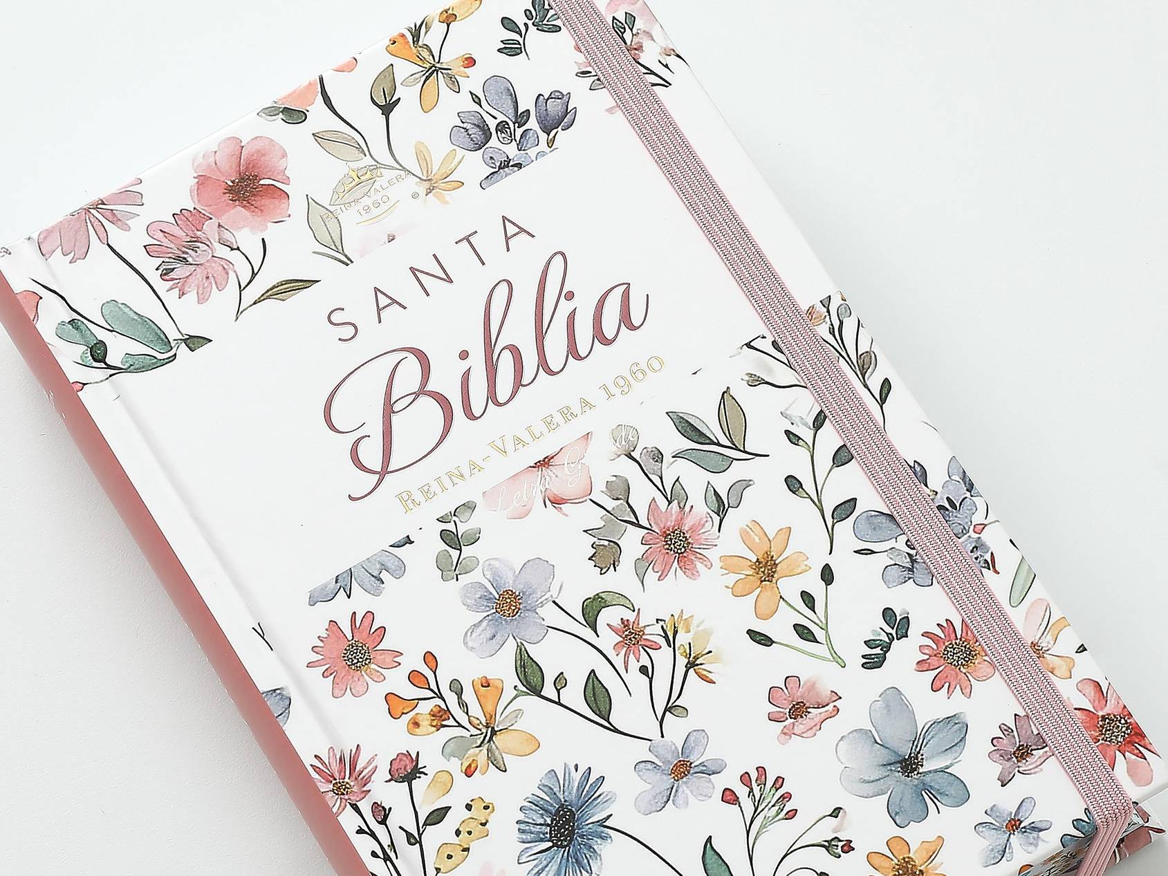 Biblia RVR60 Tamaño manual Letra Grande Tapa dura con elástico: Primavera Blanca - The Perfect Gift