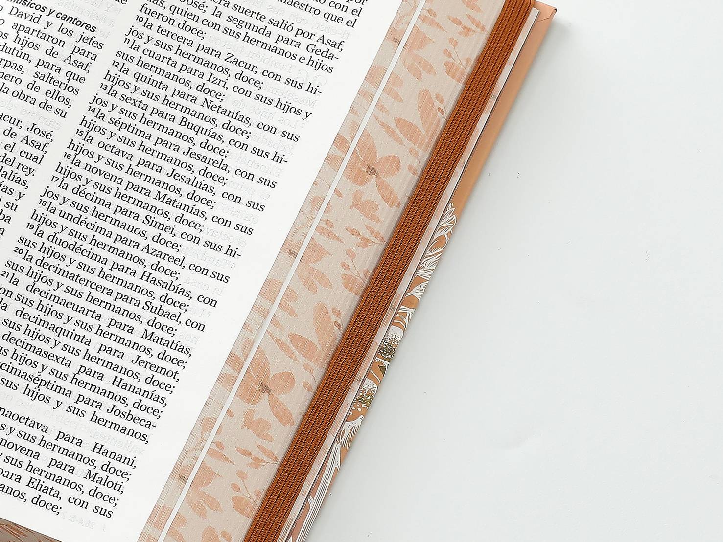 Biblia RVR60 Tamaño Manual Letra Grande Tapa dura con elástico: Primavera Coral - The Perfect Gift