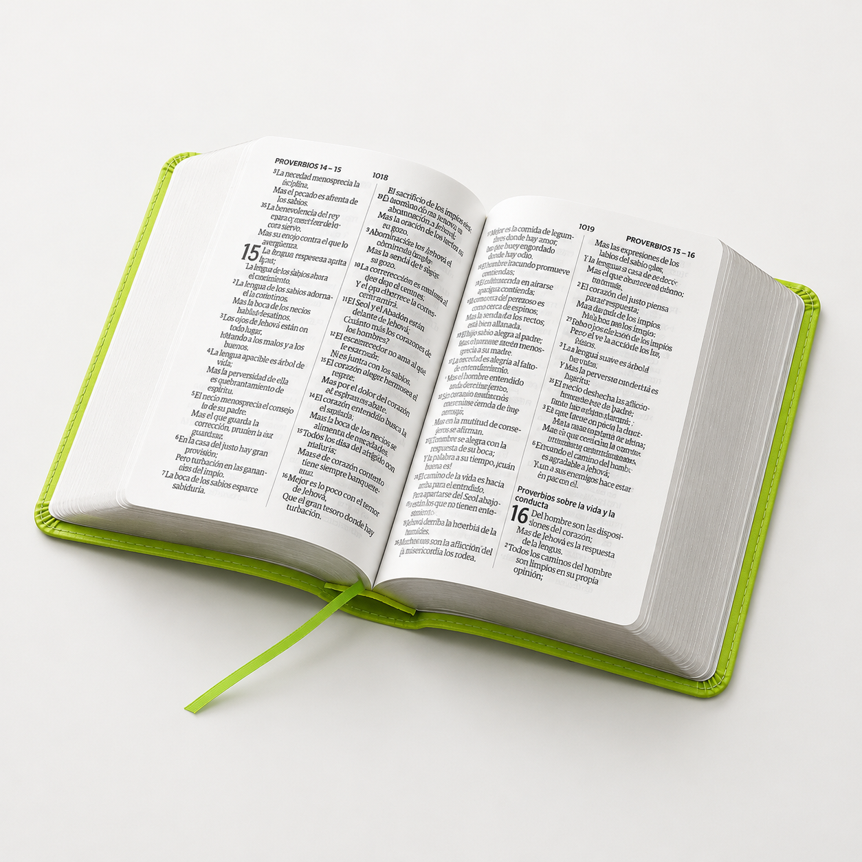 Biblia RVR60 Tamaño Compacto Letra Grande Neoclassic / Verde Lima