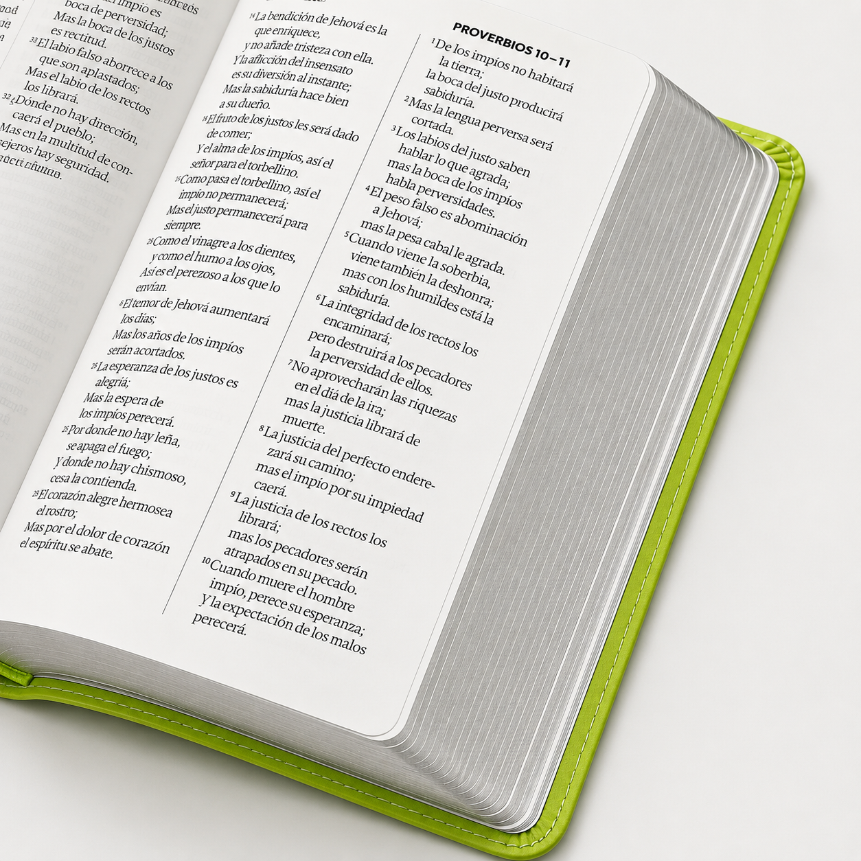 Biblia RVR60 Tamaño Compacto Letra Grande Neoclassic / Verde Lima