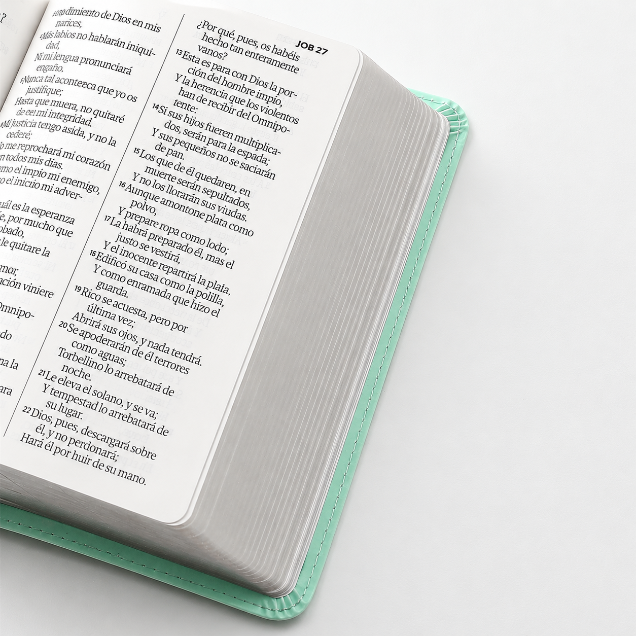 Biblia RVR60 Tamaño Compacto Letra Grande Neoclassic / Turquesa