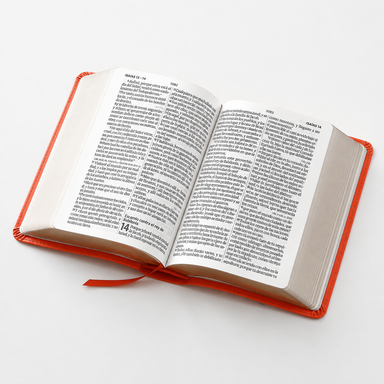 Biblia RVR60 Tamaño Compacto Letra Grande Neoclassic / Coral