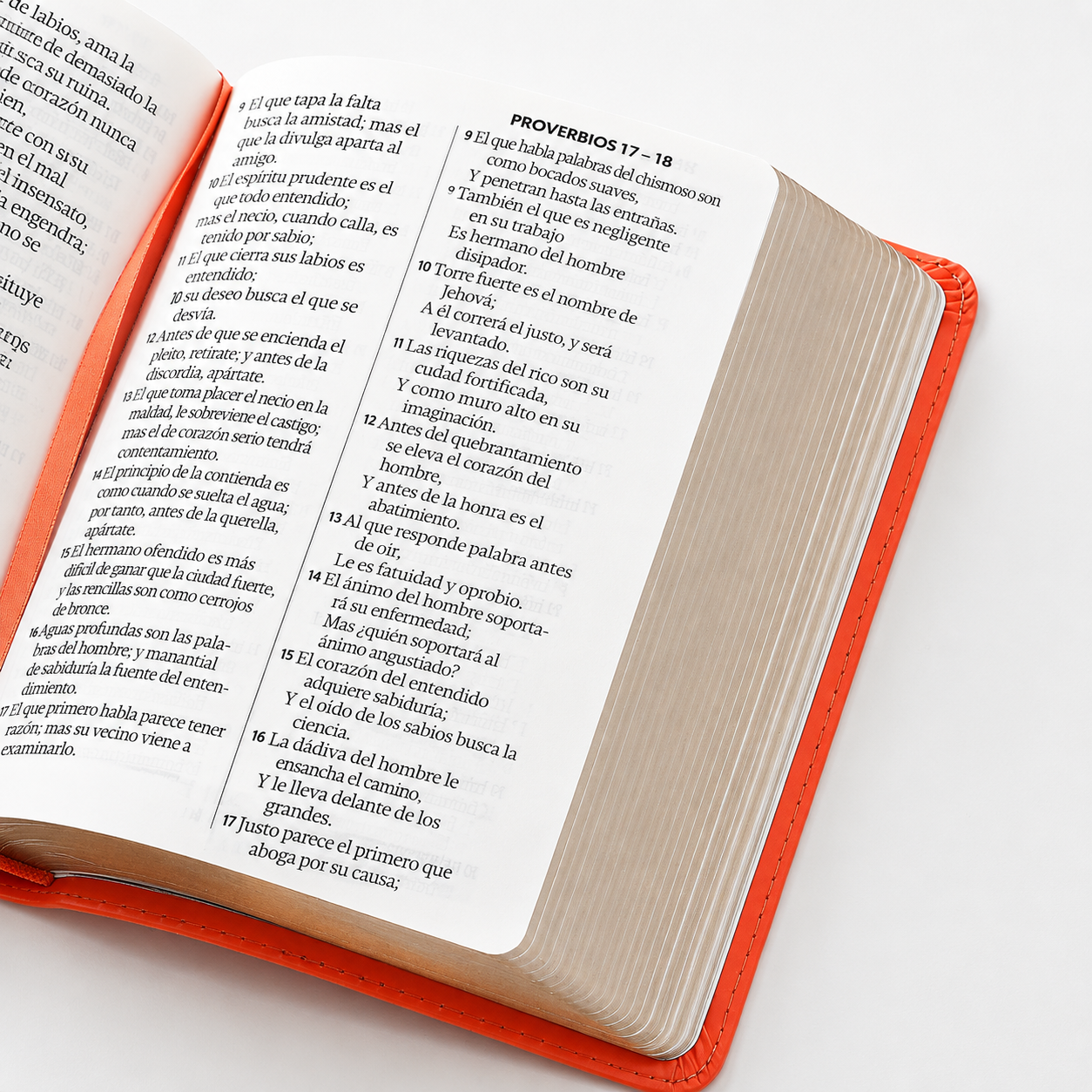 Biblia RVR60 Tamaño Compacto Letra Grande Neoclassic / Coral