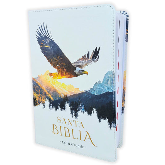 Biblia Letra Grande 12 puntos RV1960, imit piel blanco Aguila con índice - The Perfect Gift