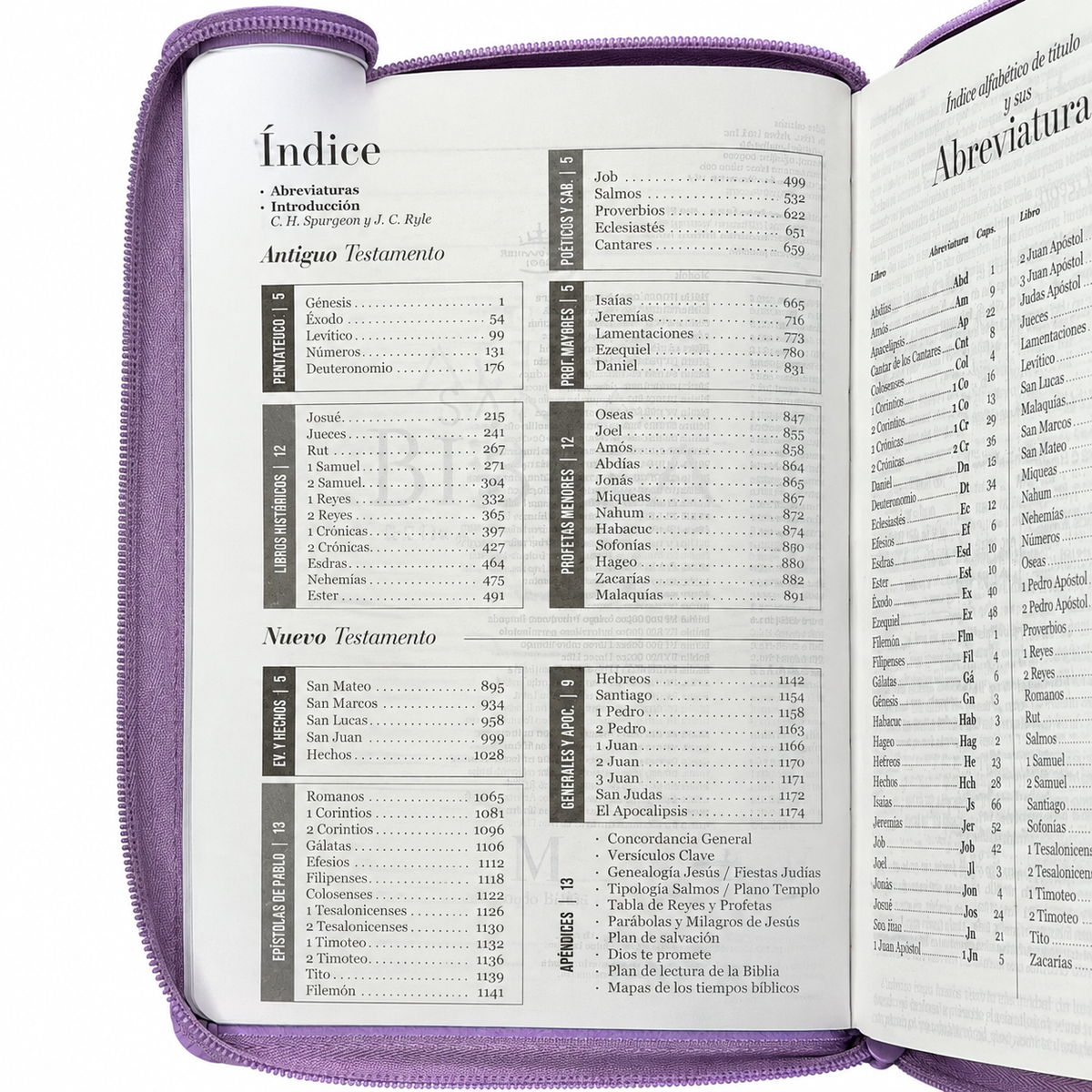 Biblia RVR60 de Obsequios y premios Lila Primor con cierre