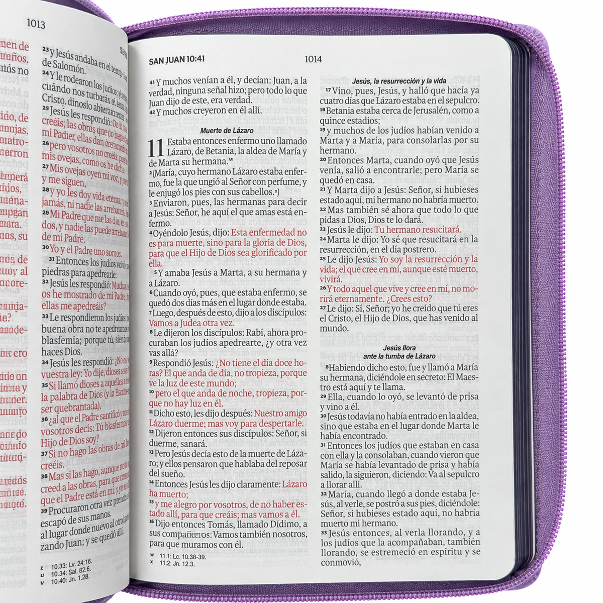 Biblia RVR60 de Obsequios y premios Lila Primor con cierre