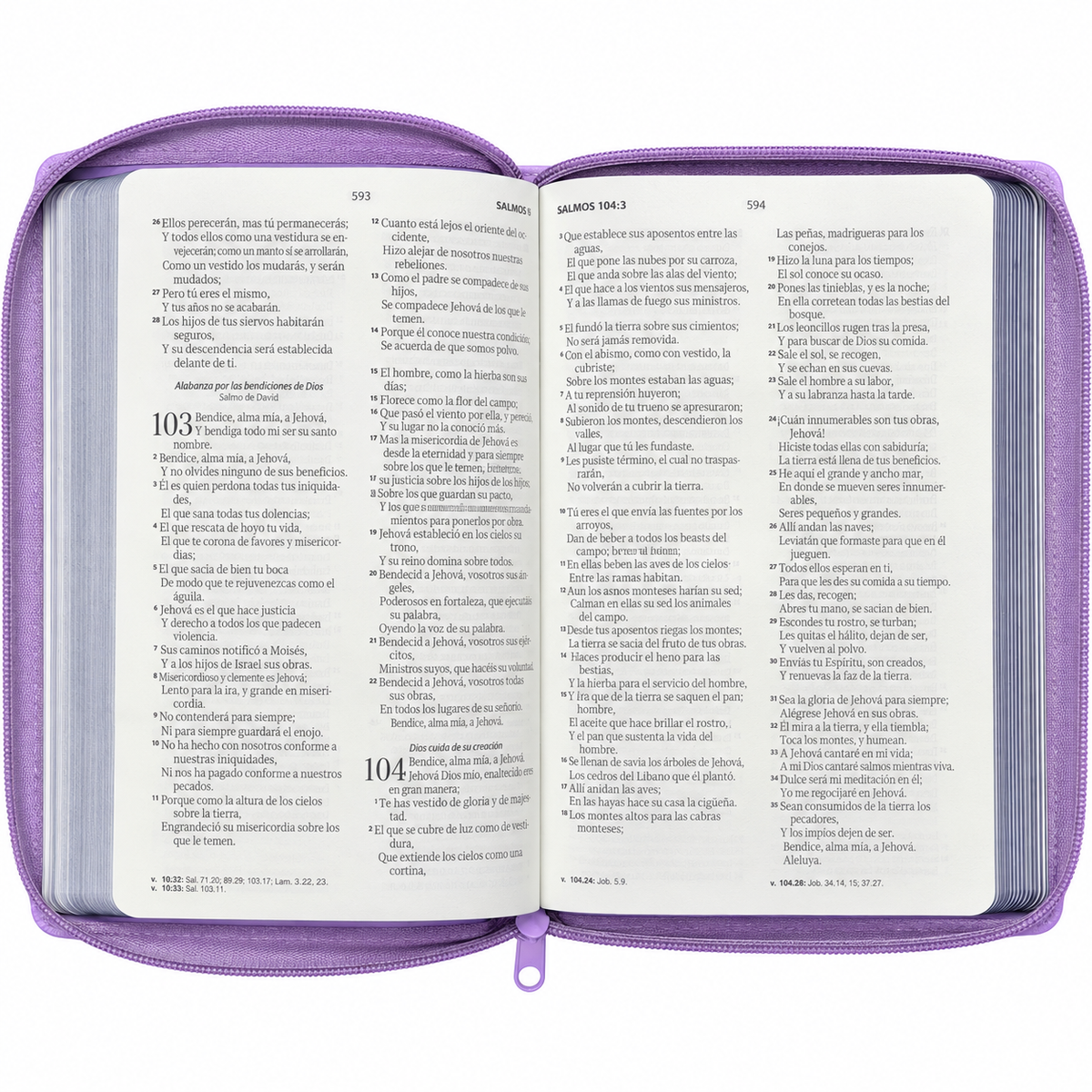 Biblia RVR60 de Obsequios y premios Lila Primor con cierre