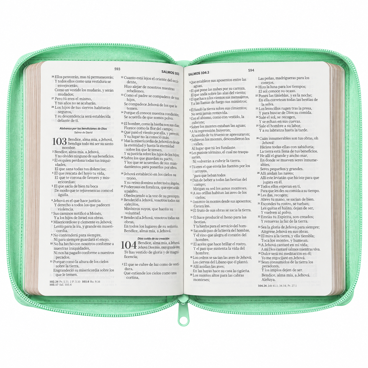 Biblia RVR60 de Obsequios y premios Turquesa Mariposas con cierre