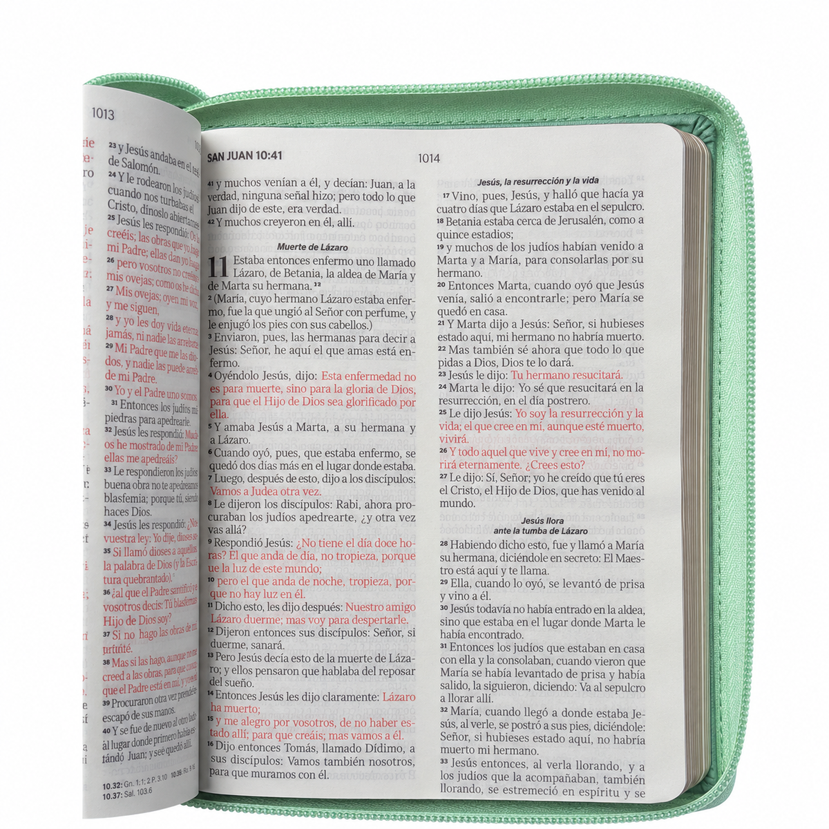 Biblia RVR60 de Obsequios y premios Turquesa Mariposas con cierre