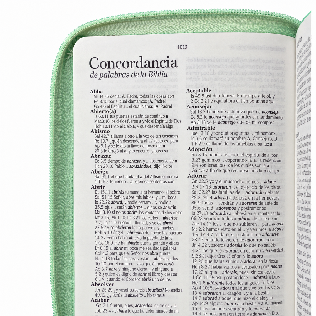 Biblia RVR60 de Obsequios y premios Turquesa Mariposas con cierre
