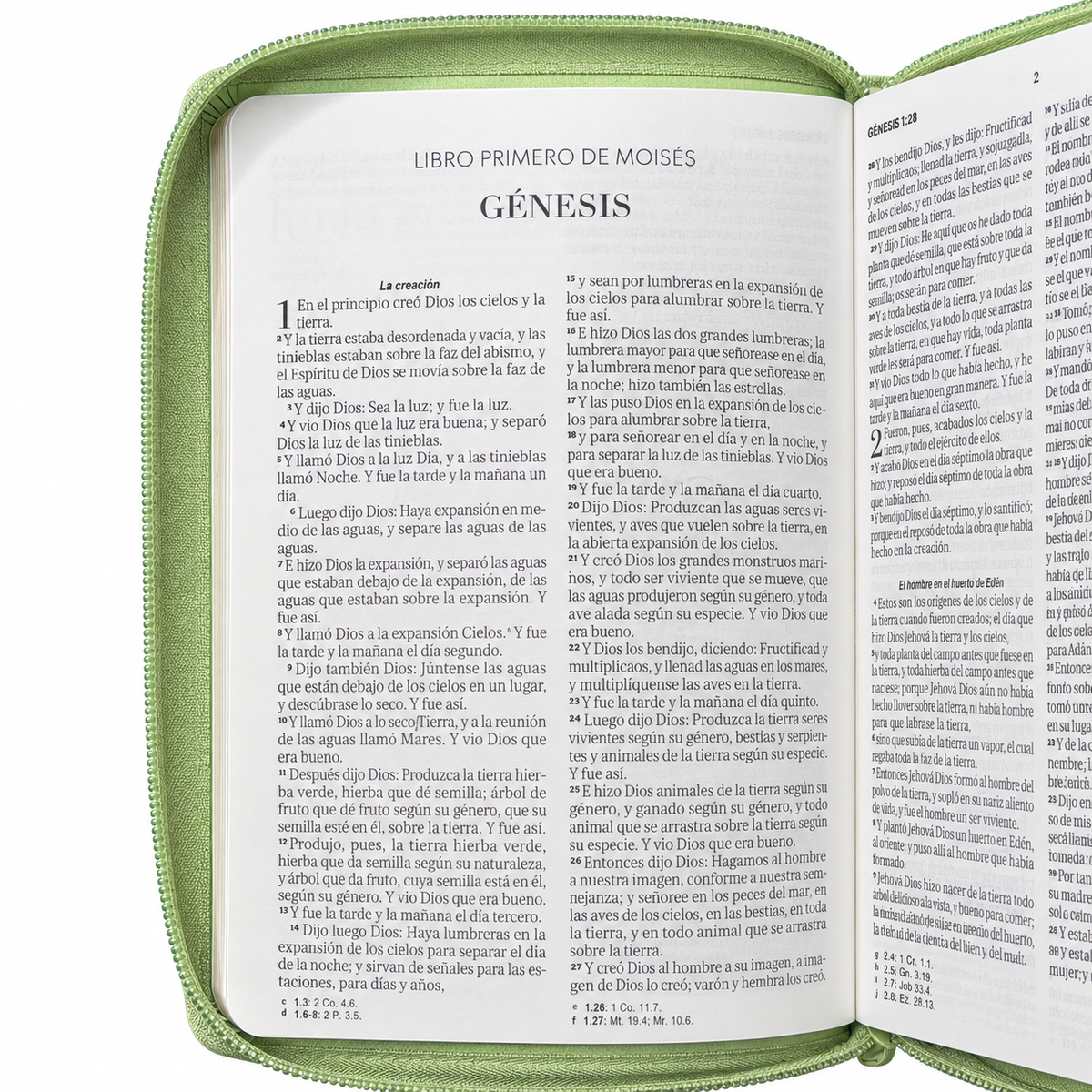 Biblia RVR60 de Obsequios y premios Verde Olivo con cierre