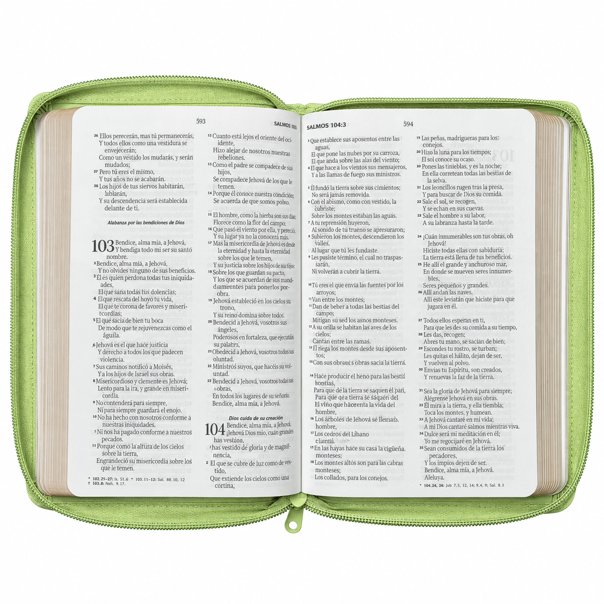 Biblia RVR60 de Obsequios y premios Verde Olivo con cierre