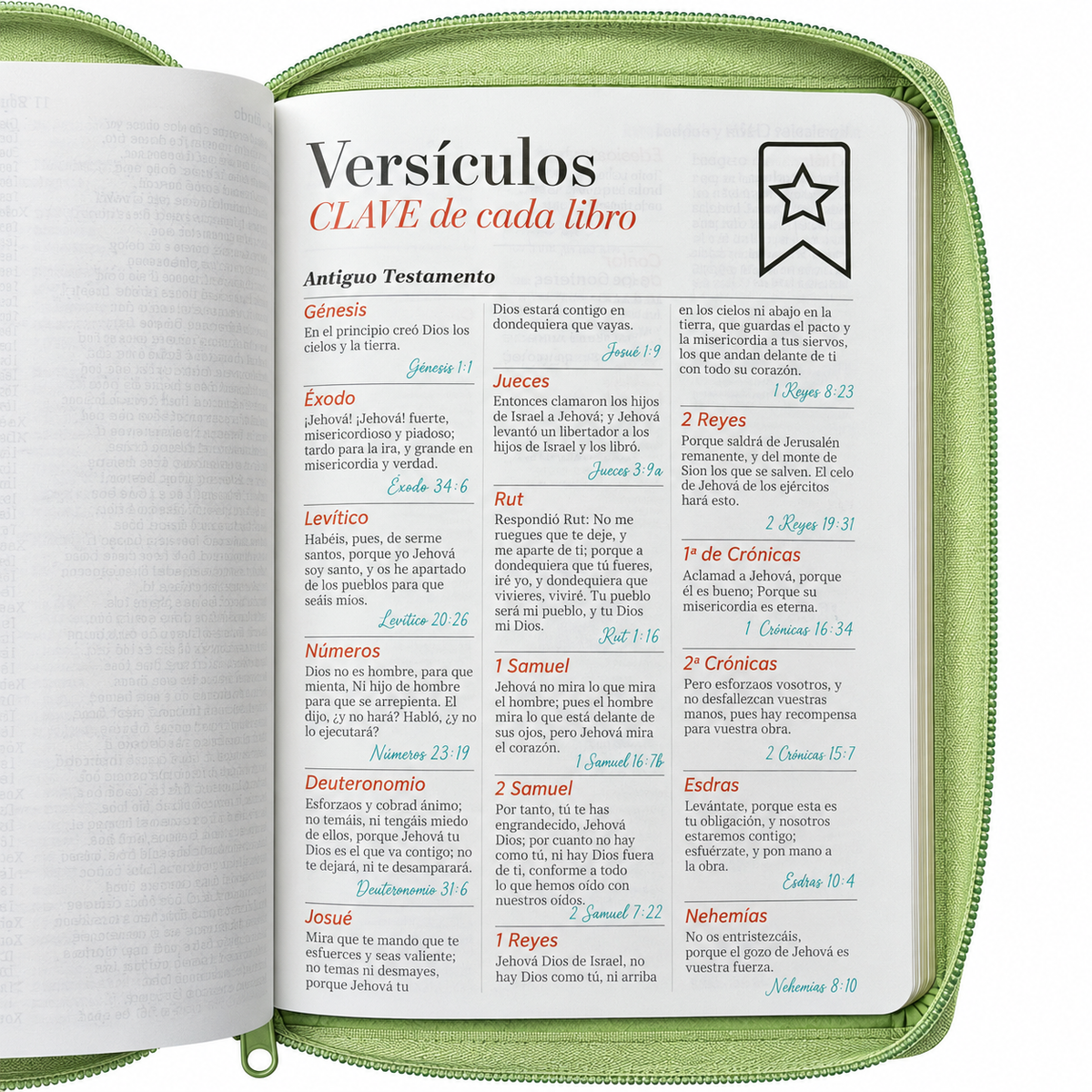 Biblia RVR60 de Obsequios y premios Verde Olivo con cierre