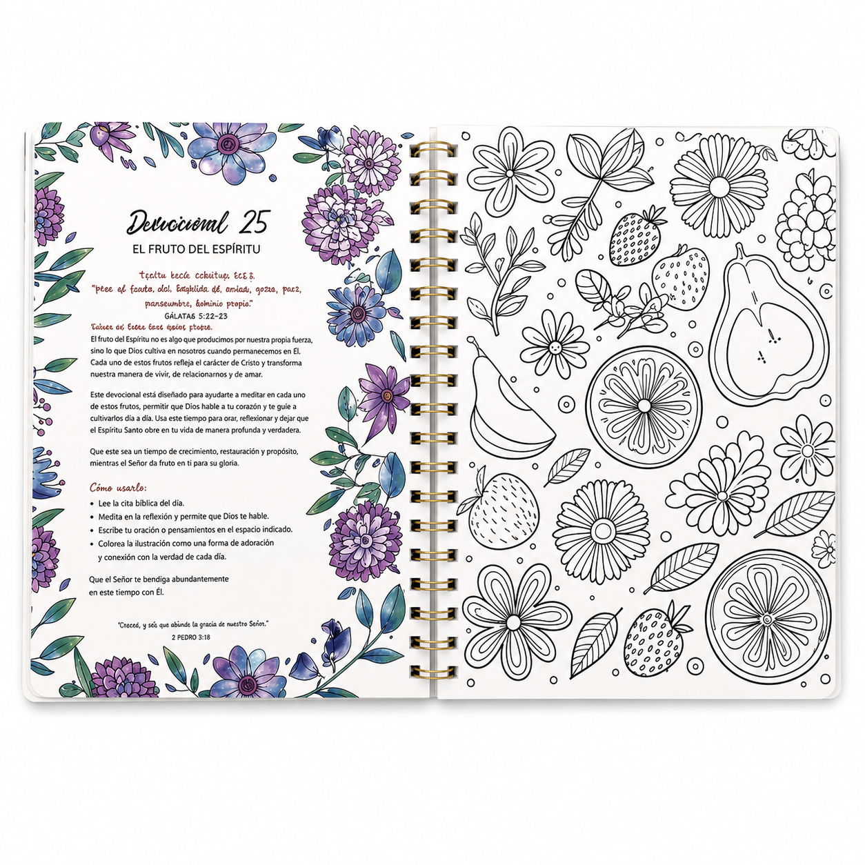 100 devocionales para colorear: Harriett Beecher Stowe - The Perfect Gift