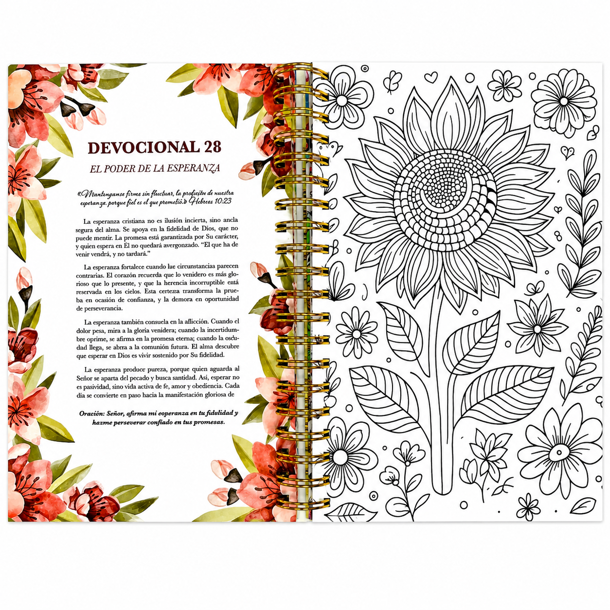 100 devocionales para colorear: Frances Ridley Havergal - The Perfect Gift