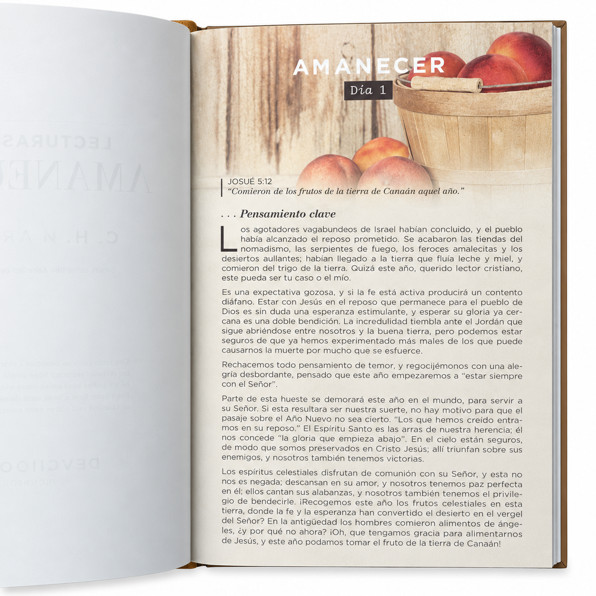 Lecturas al Amanecer. 365 devocionales C.H.Spurgeon