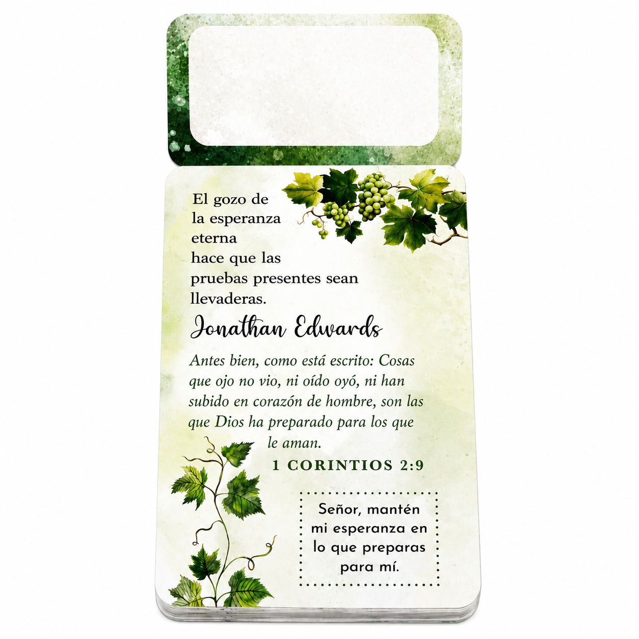 100 Meditaciones de Esperanza para Compartir - The Perfect Gift