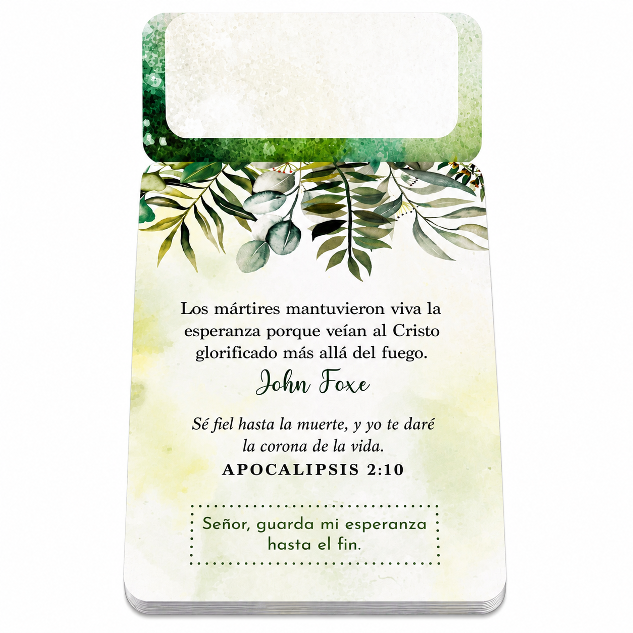 100 Meditaciones de Esperanza para Compartir - The Perfect Gift