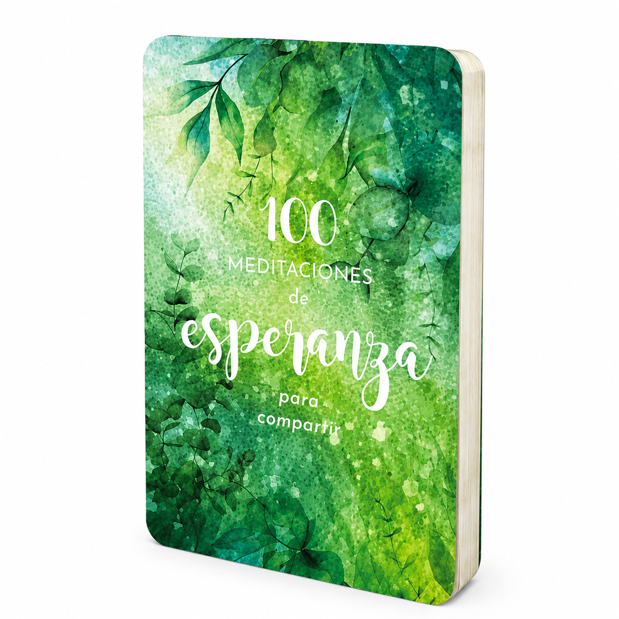 100 Meditaciones de Esperanza para Compartir - The Perfect Gift