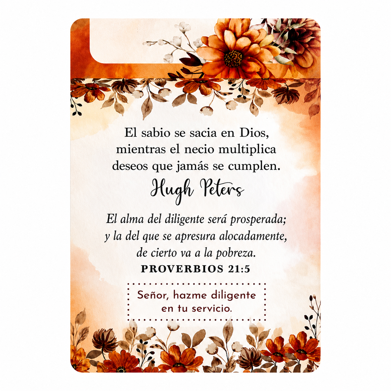 100 Meditaciones De Proverbios Para Compartir - The Perfect Gift