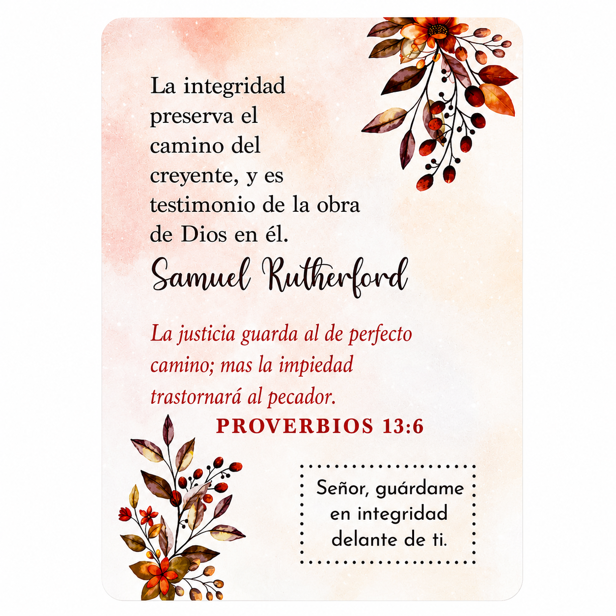 100 Meditaciones De Proverbios Para Compartir - The Perfect Gift