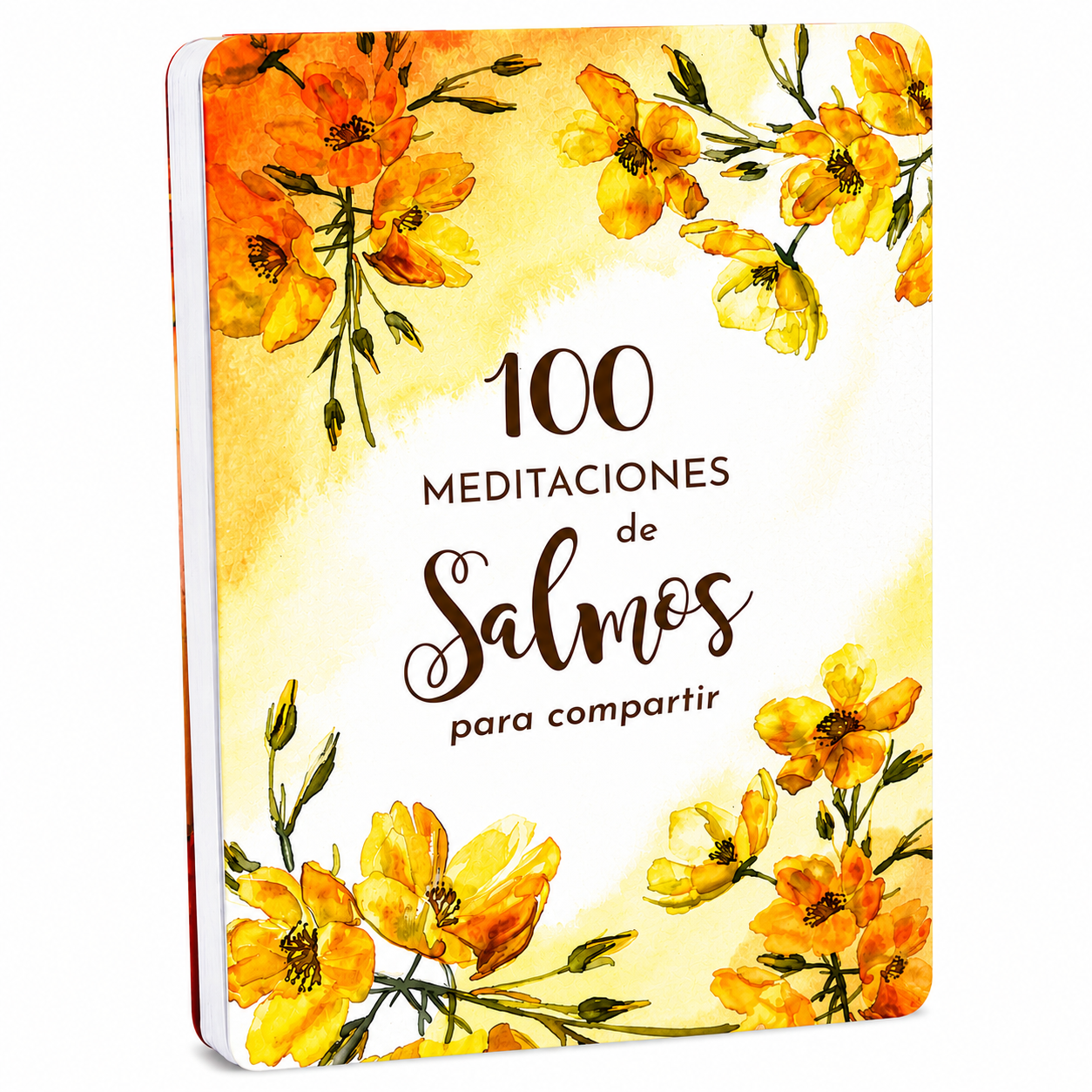 100 Meditaciones De Salmos Para Compartir - The Perfect Gift