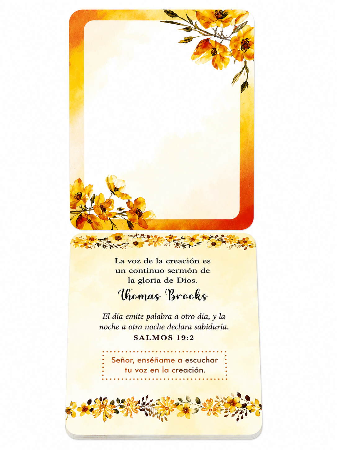 100 Meditaciones De Salmos Para Compartir - The Perfect Gift